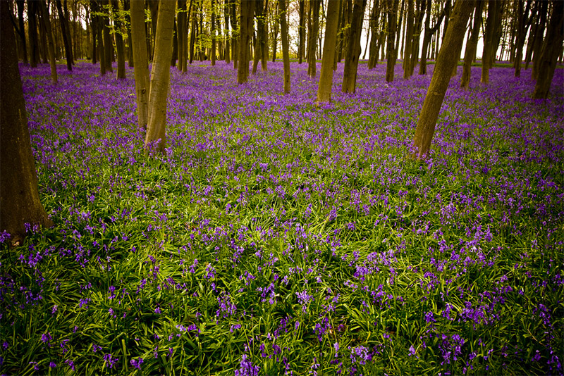 The Best Places to Photograph in England