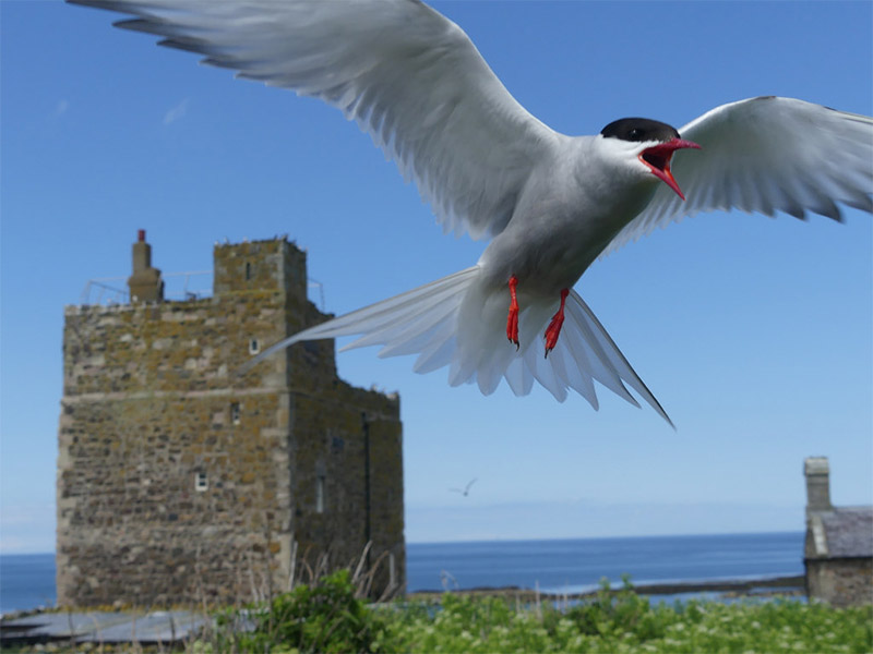 The Best Places to Photograph in England