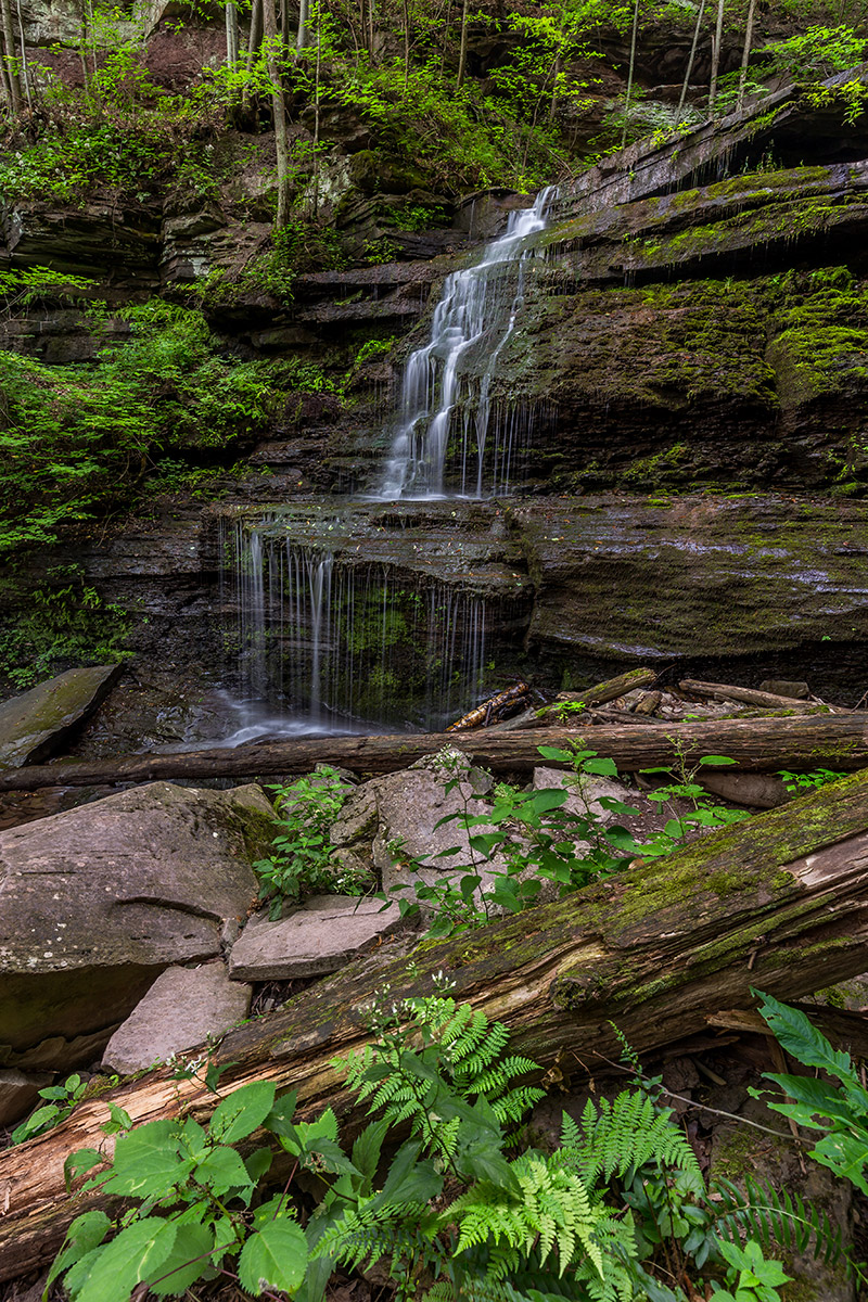 Photographing Pine Creek Gorge - PA Grand Canyon