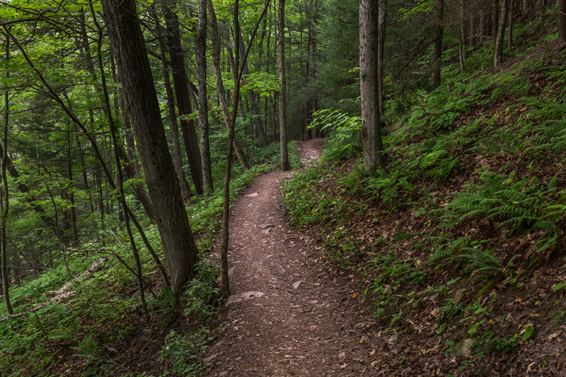 Photographing Pine Creek Gorge - PA Grand Canyon