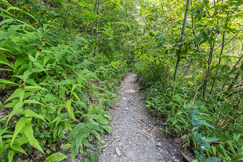 Photographing Pine Creek Gorge - PA Grand Canyon