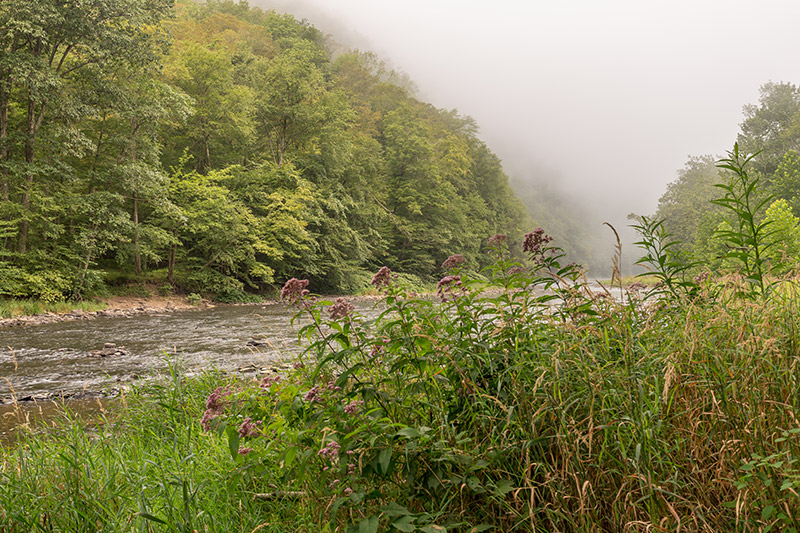 Photographing Pine Creek Gorge - PA Grand Canyon