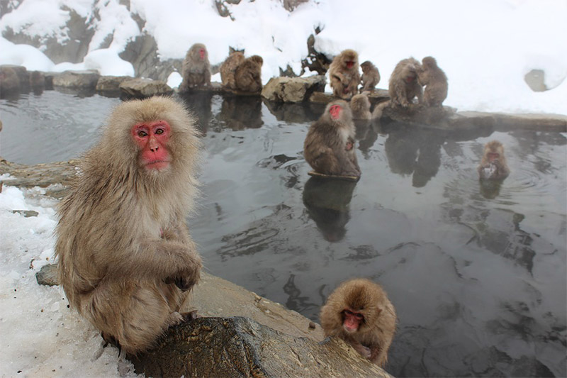 The Best Places to Photograph in Japan