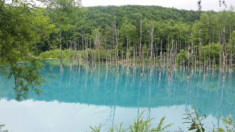 The Best Places to Photograph in Japan