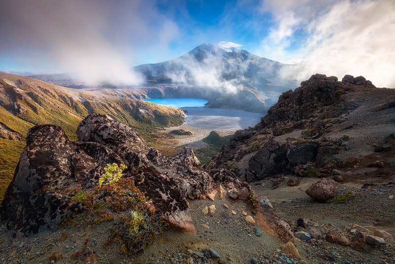 New Zealand