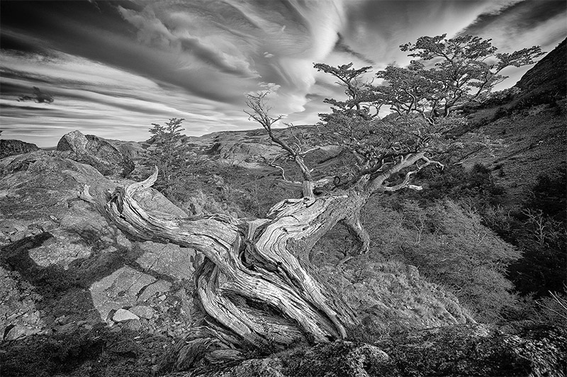 Beautiful Photos of Patagonia by John Collins