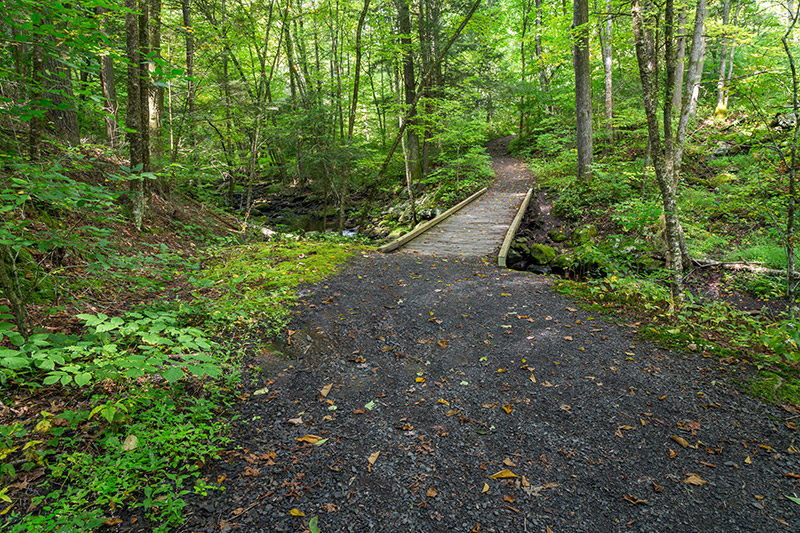 Hornbecks Creek Trail