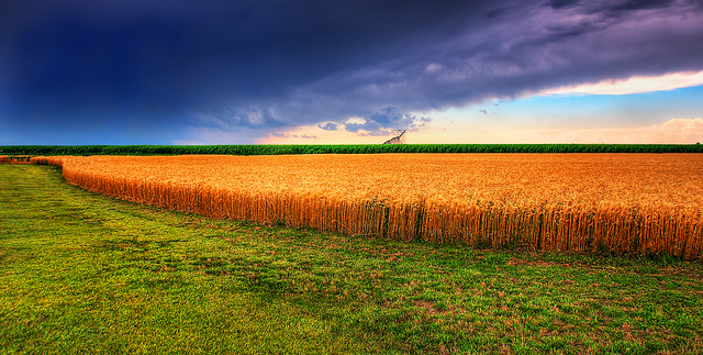 Use of Colors in Landscape and Nature Photography