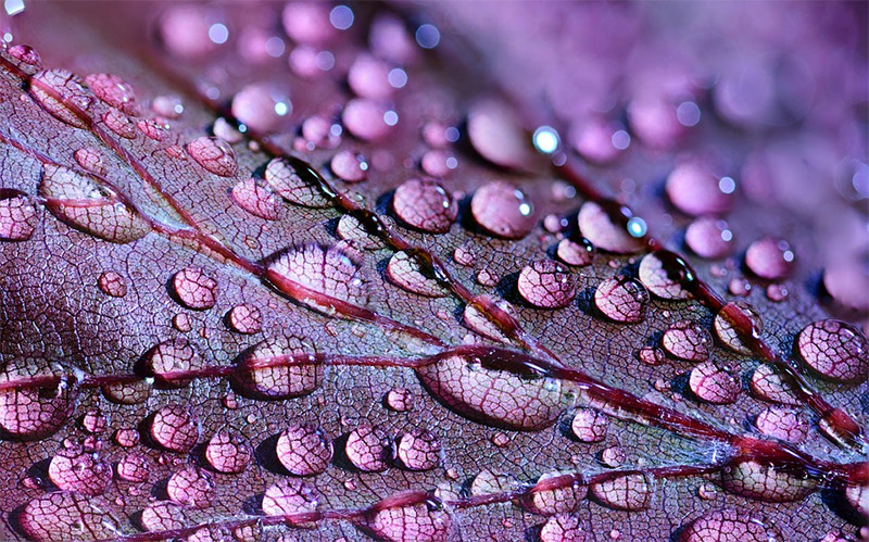 25 Intriguing Abstract Nature Photos