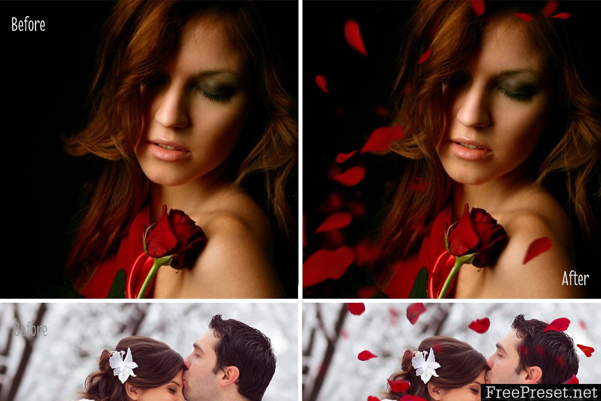 30 Falling Rose Petals Photo Overlay 2283778