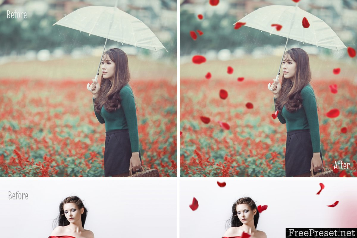 30 Falling Rose Petals Photo Overlay 2283778