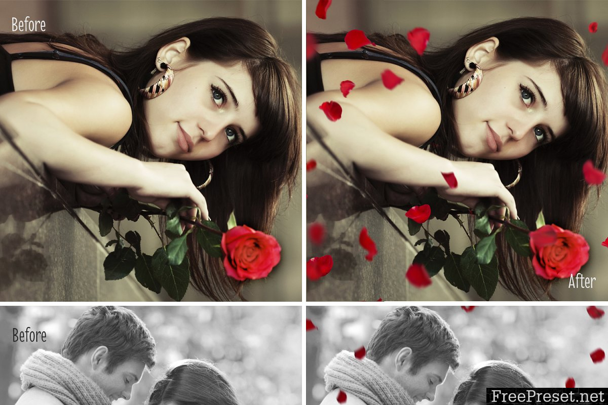 30 Falling Rose Petals Photo Overlay 2283778