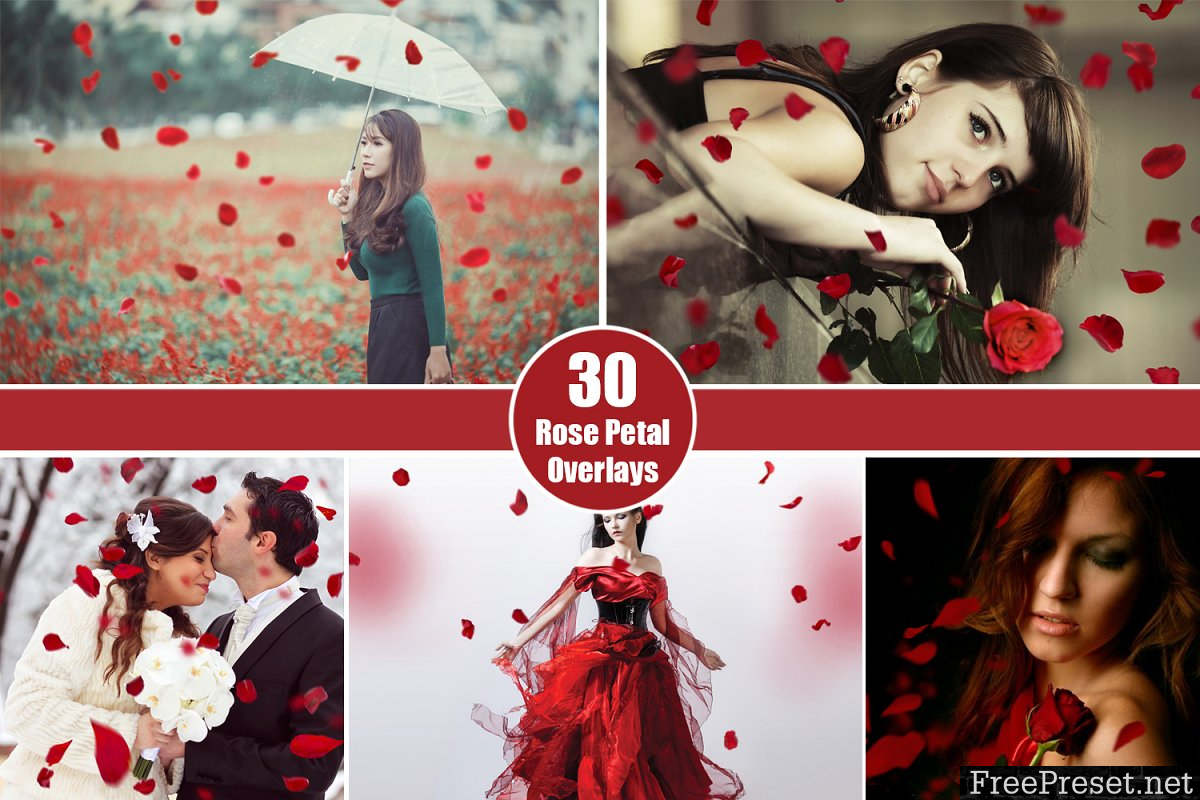 30 Falling Rose Petals Photo Overlay 2283778