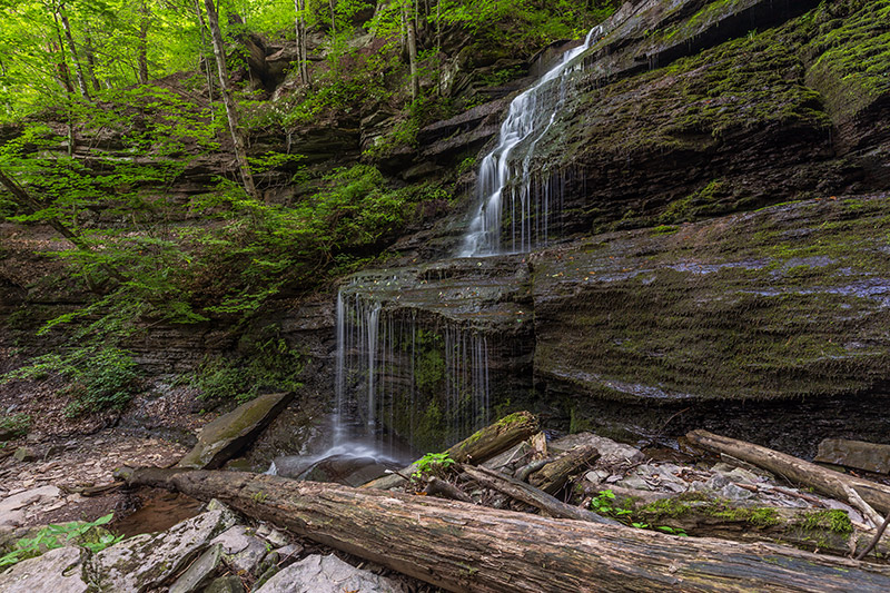 Photographing Pine Creek Gorge - PA Grand Canyon