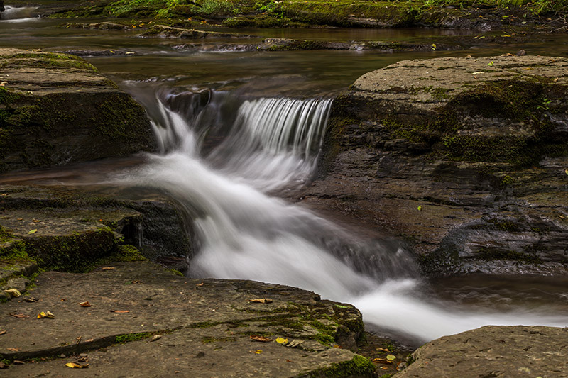 Photographing Worlds End State Park (Pennsylvania)