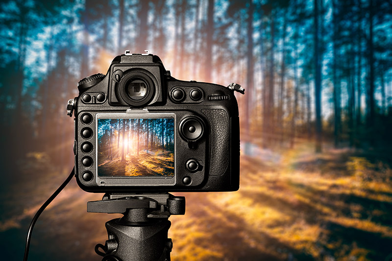 The Best Tripods for Landscape Photography