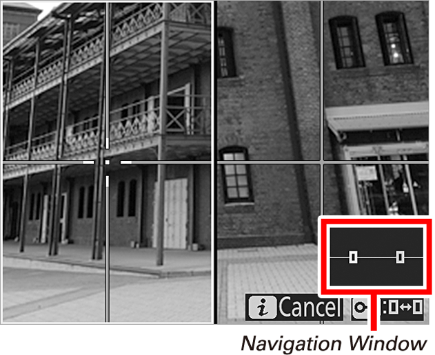 Nikon Split-Screen Display Zoom