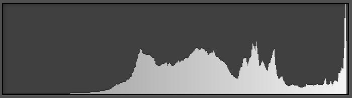 Sand dune example histogram