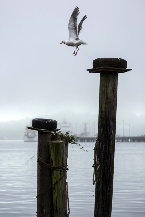 Patience better photography 750px 06