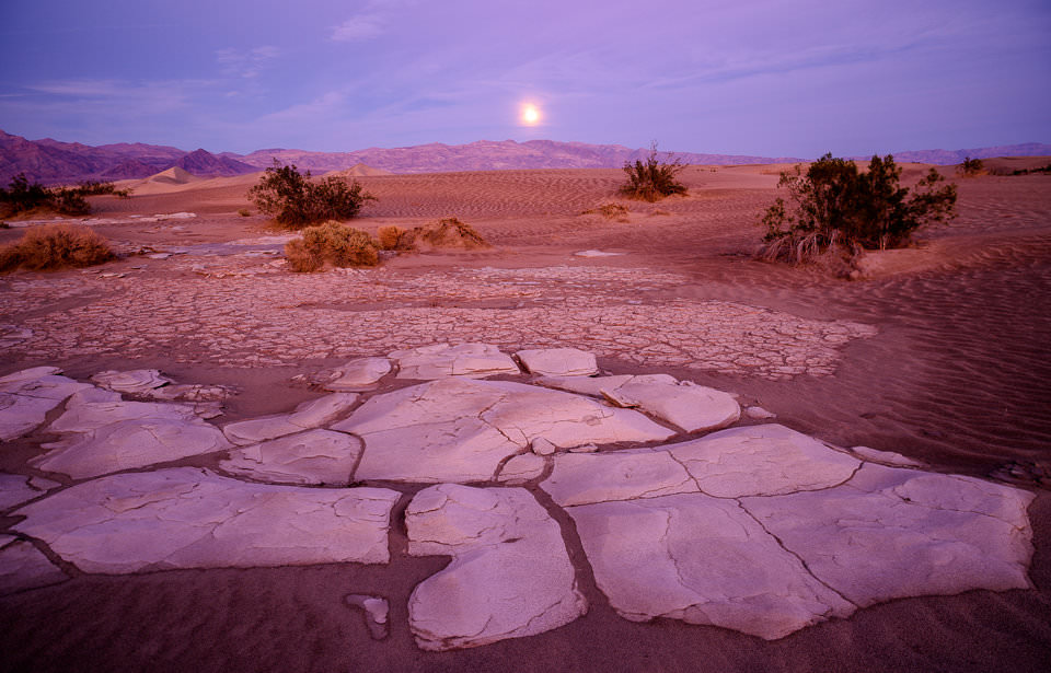 Moonrise Mesquite Dunes