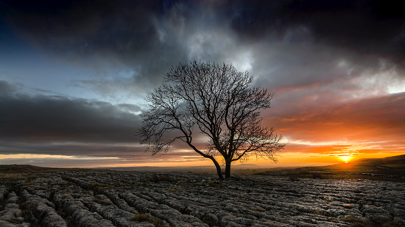 Tips for Capturing Spectacular Sky Photos