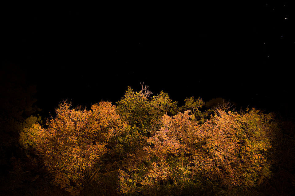 Light Painting