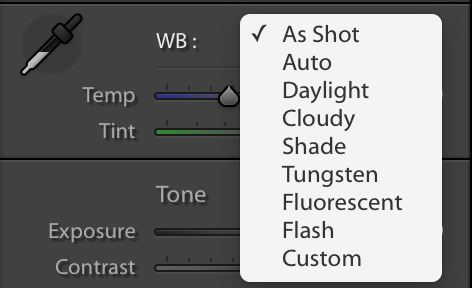 White Balance Lightroom Options