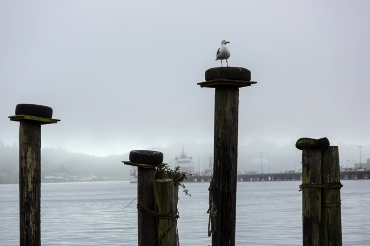 Patience better photography 750px 02