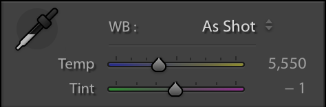 White Balance Lightroom Panel 1