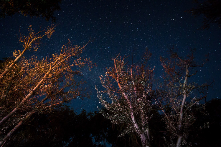 Oregon-July13-1672-travel-night-gear