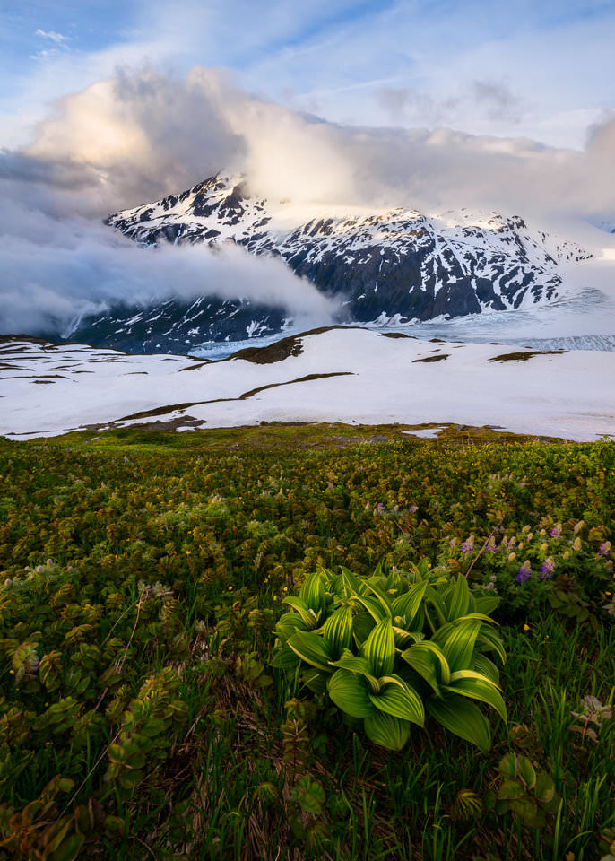 Large depth of field landscape