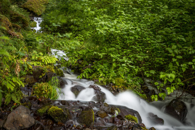 Oregon-July13-0601-slideshow