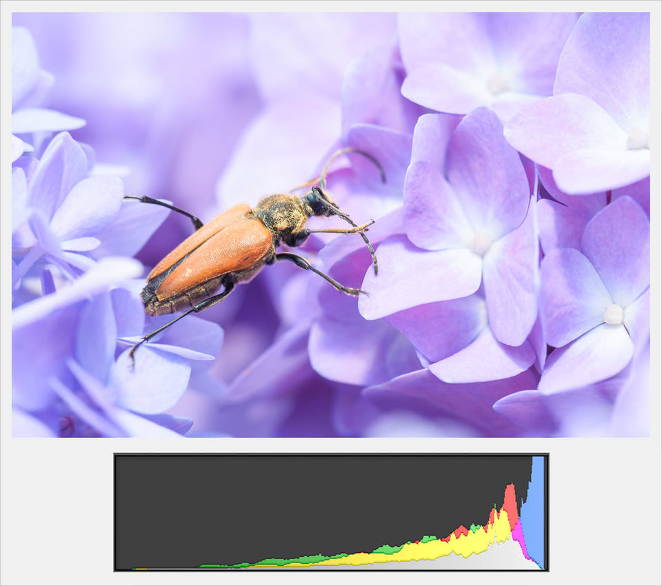 Underexposed histogram