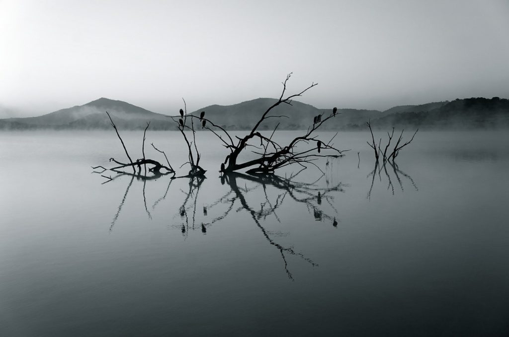 photographing water