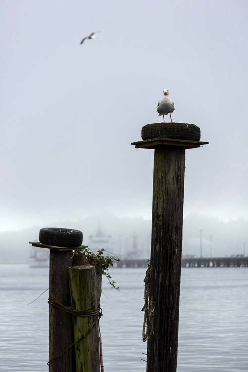 Patience better photography 750px 03