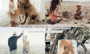 Alexa Jean - The Mobile Vintage Collection