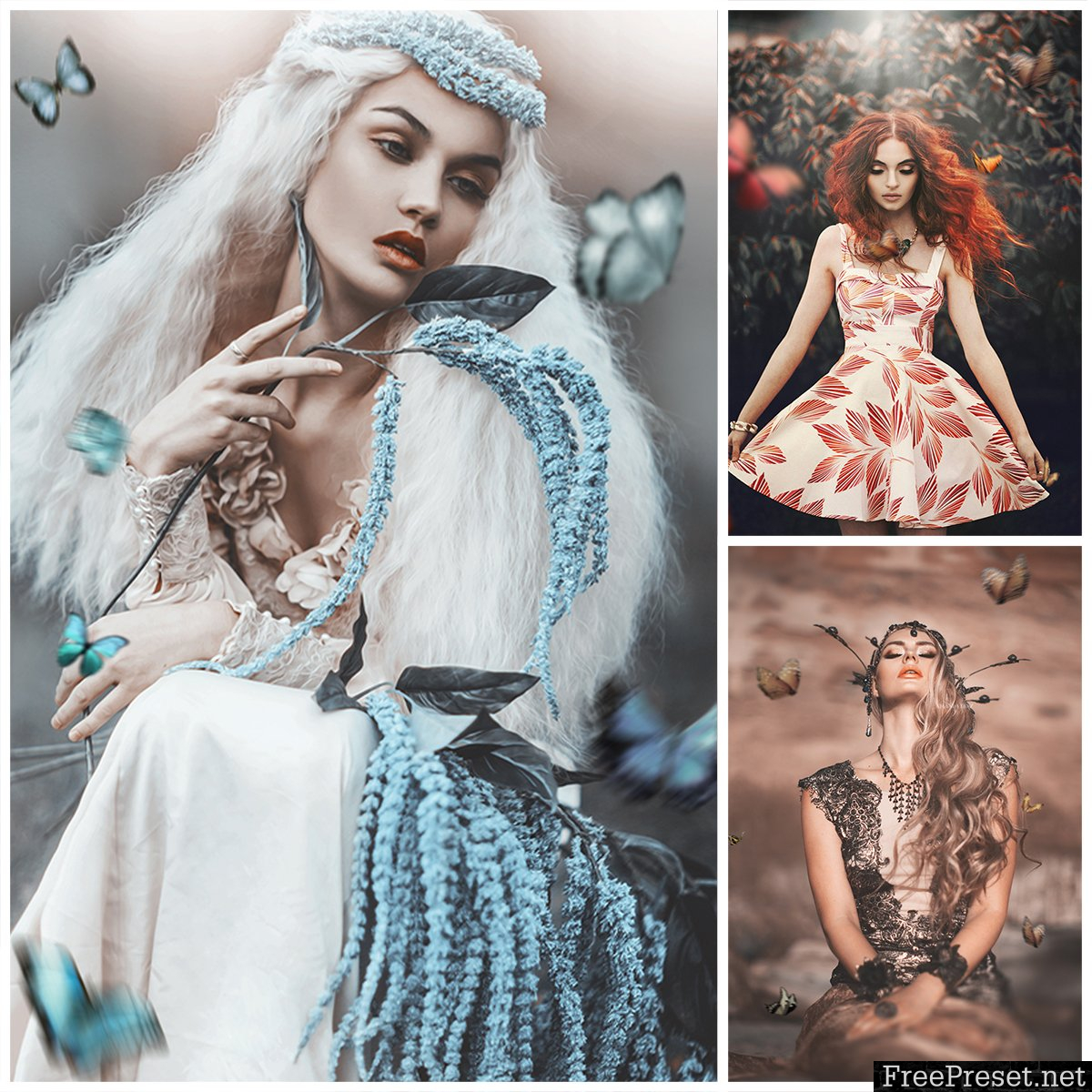  Amanda Diaz - Butterfly Overlays Collection 