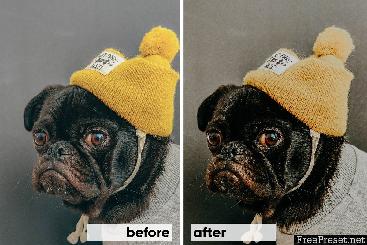 Animals Lightroom Presets Bundle 3605043