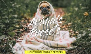 Animals Lightroom Presets Bundle 3605043