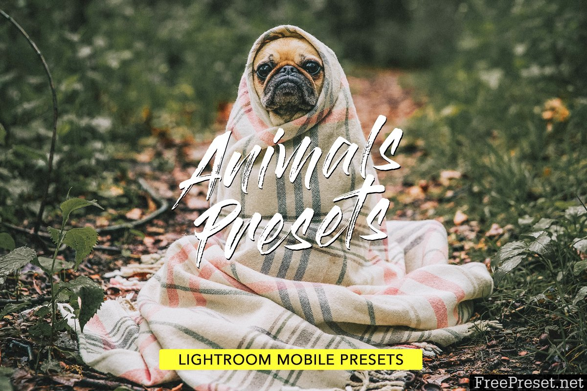 Animals Lightroom Presets Bundle 3605043