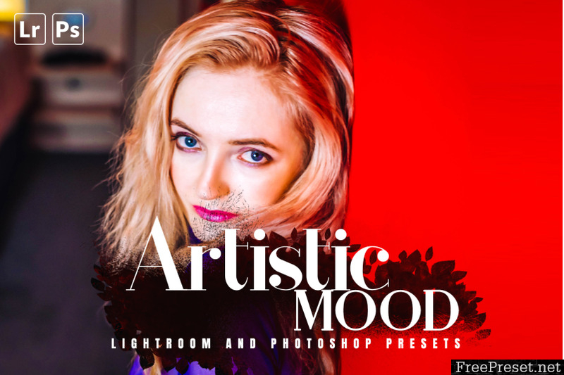 Artistic Mood Lightroom and Photoshop Presets