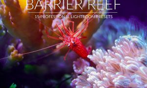 Barrier Reef Lr Presets 2967871