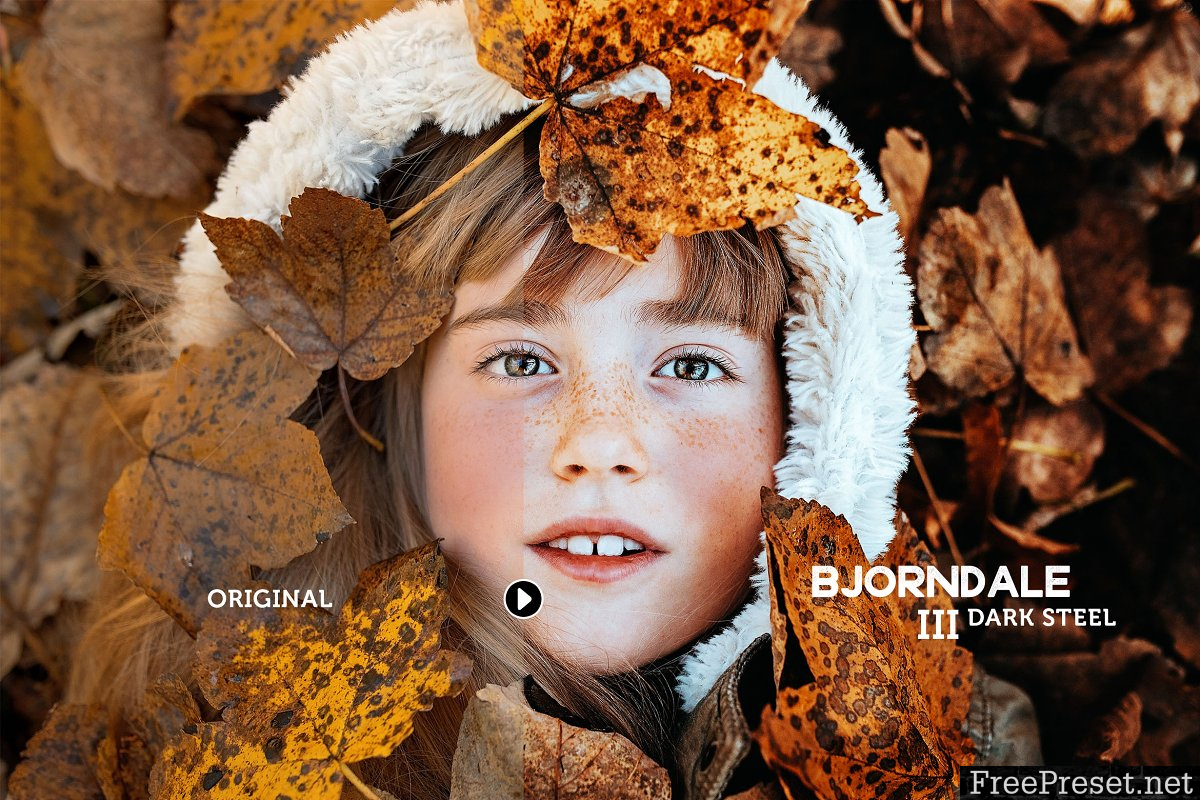 Bjorndale Lightroom Preset Pack 463587