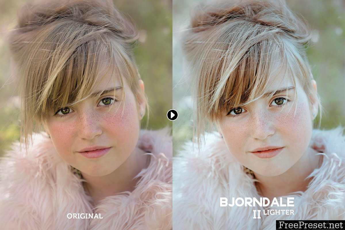 Bjorndale Lightroom Preset Pack 463587