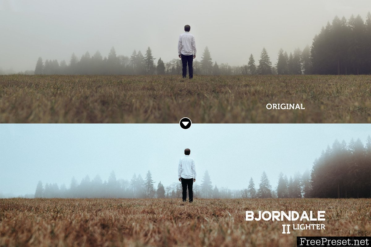 Bjorndale Lightroom Preset Pack 463587