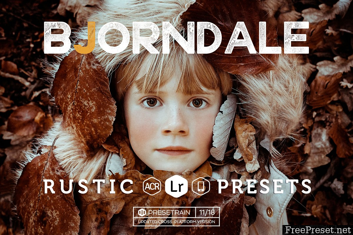 Bjorndale Lightroom Preset Pack 463587