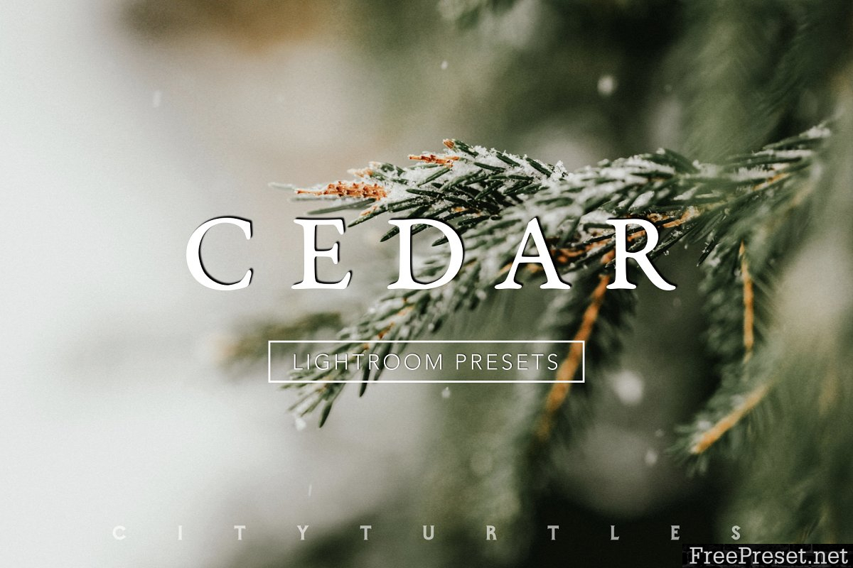 CEDAR Subtle Moody Lightroom Presets 3313228