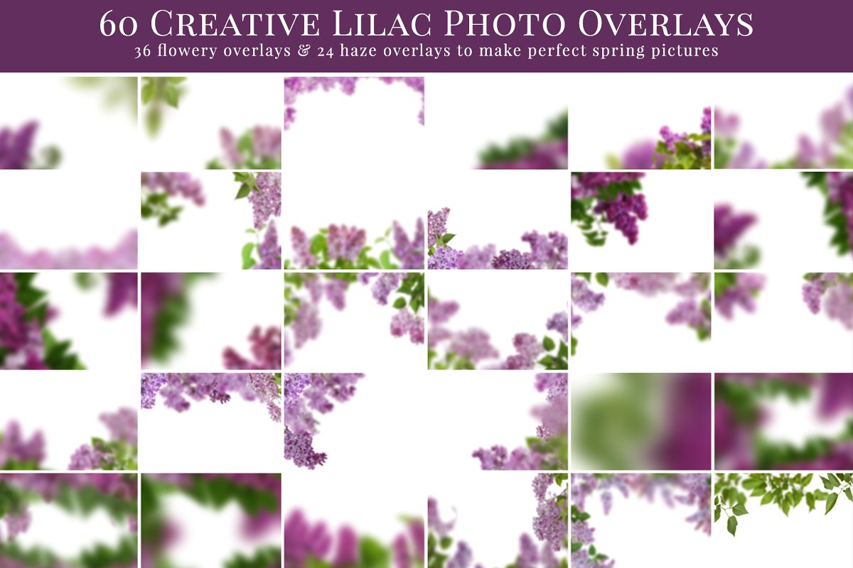 Dreamy Lilac photo overlays 2348731