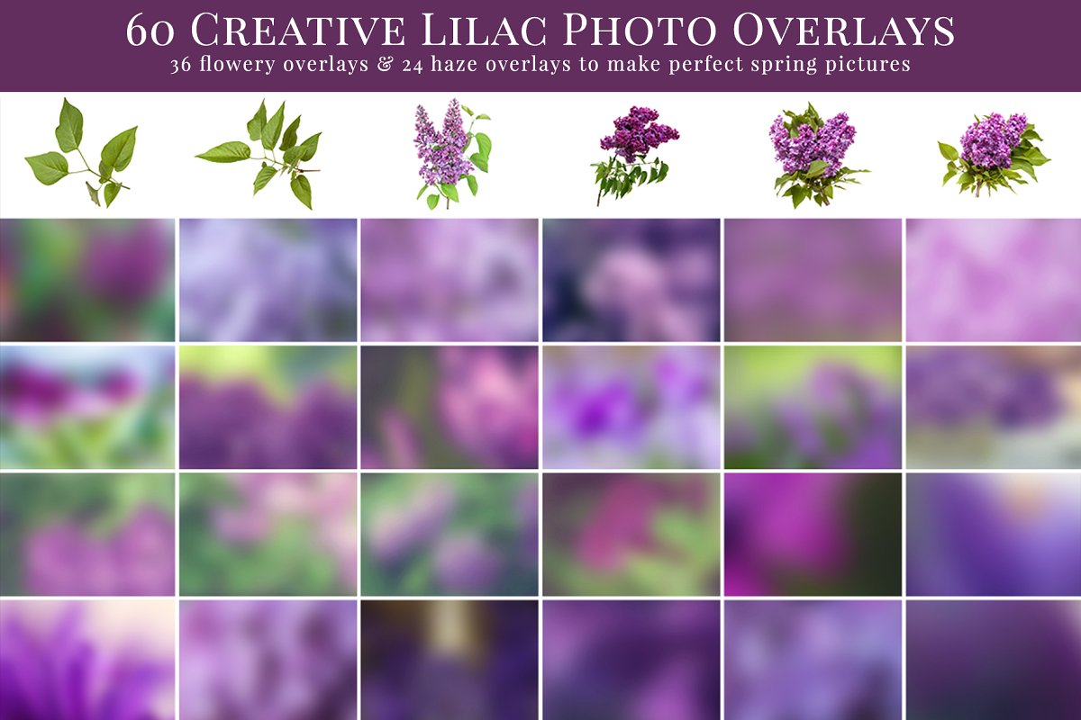 Dreamy Lilac photo overlays 2348731