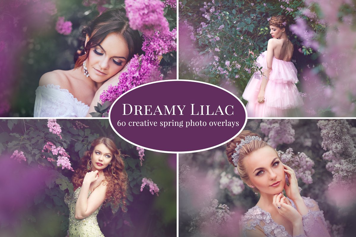 Dreamy Lilac photo overlays 2348731